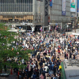 Shibuya Crossing, Tokyo Japan | Photography by Jenny S.W. Lee