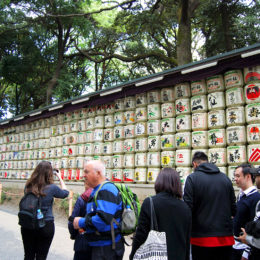 Sake barrels