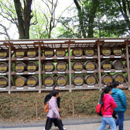 Yoyogi Park, Tokyo Japan | Photography by Jenny S.W. Lee