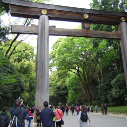 Yoyogi Park, Tokyo Japan | Photography by Jenny S.W. Lee