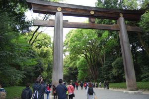 Yoyogi Park, Tokyo Japan | Photography by Jenny S.W. Lee