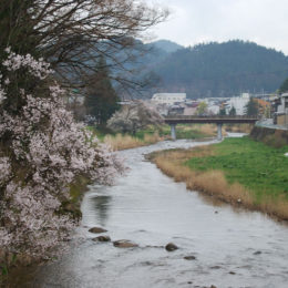 Takayama, Japan | Photography by Jenny S.W. Lee
