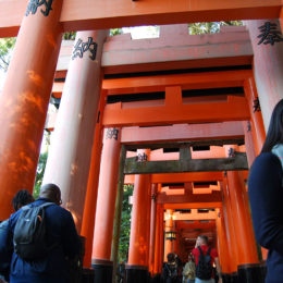 Fushimi Inari Taisha - Shinto Shrine | Photography by Jenny S.W. Lee