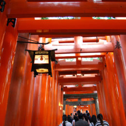 Fushimi Inari Taisha - Shinto Shrine | Photography by Jenny S.W. Lee