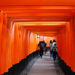 Fushimi Inari Taisha - Shinto Shrine | Photography by Jenny S.W. Lee