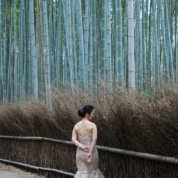 Arashiyama Bamboo Grove, Kyoto | Photography by Jenny S.W. Lee