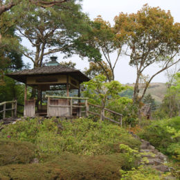 Isui-en Garden in Nara, Japan | Photography by Jenny S.W. Lee