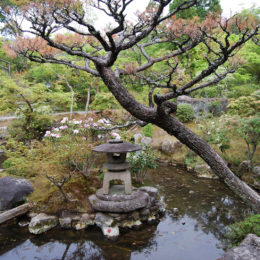 Isui-en Garden in Nara, Japan | Photography by Jenny S.W. Lee