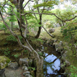 Isui-en Garden in Nara, Japan | Photography by Jenny S.W. Lee