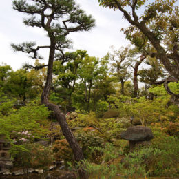 Isui-en Garden in Nara, Japan | Photography by Jenny S.W. Lee