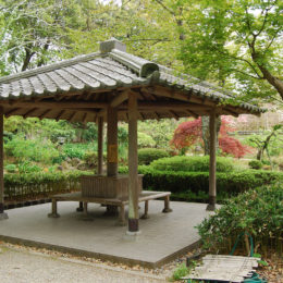 Isui-en Garden in Nara, Japan | Photography by Jenny S.W. Lee