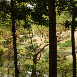 Isui-en Garden in Nara, Japan | Photography by Jenny S.W. Lee