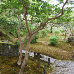 Isui-en Garden in Nara, Japan | Photography by Jenny S.W. Lee