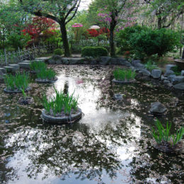 Shukkeien Garden, Hiroshima Japan | Photography by Jenny S.W. Lee