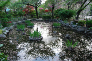 Shukkeien Garden, Hiroshima Japan | Photography by Jenny S.W. Lee