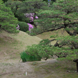Shukkeien Garden, Hiroshima Japan | Photography by Jenny S.W. Lee