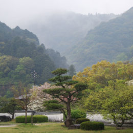 Kikko Park, Iwakuni Japan | Photography by Jenny S.W. Lee