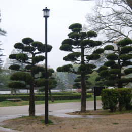 Kikko Park, Iwakuni Japan | Photography by Jenny S.W. Lee