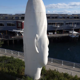 Sculpture Park, Seattle | Photography by Jenny S.W. Lee