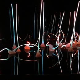 Chihuly Garden