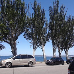 Alki Beach