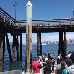 At the Alki beach dock waiting for water taxi back to downtown Seattle.