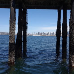 At the Alki beach dock waiting for water taxi back to downtown Seattle.