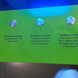 Inside of Amazon Spheres