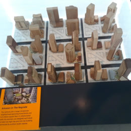 Amazon campus model size