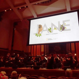 Benaroya Hall Seattle | Photography by Jenny S.W. Lee