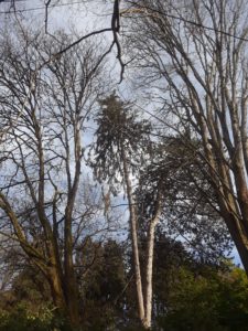 Volunteer Park Seattle | Photography by Jenny S.W. Lee