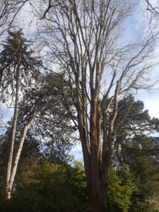 Volunteer Park Seattle | Photography by Jenny S.W. Lee
