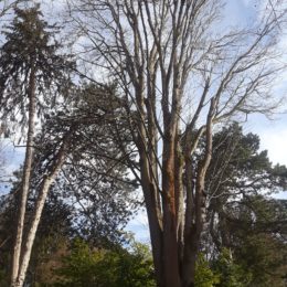 Volunteer Park Seattle | Photography by Jenny S.W. Lee