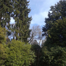 Volunteer Park Seattle | Photography by Jenny S.W. Lee