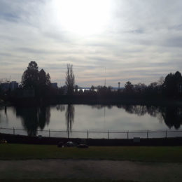 Volunteer Park Seattle | Photography by Jenny S.W. Lee