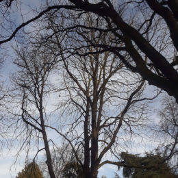 Volunteer Park Seattle | Photography by Jenny S.W. Lee