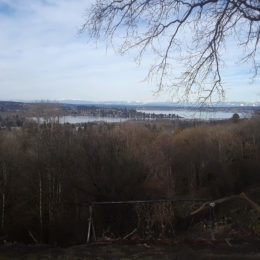 Boren Park Seattle | Photography by Jenny S.W. Lee
