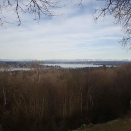 Boren Park Seattle | Photography by Jenny S.W. Lee