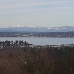 Boren Park Seattle | Photography by Jenny S.W. Lee