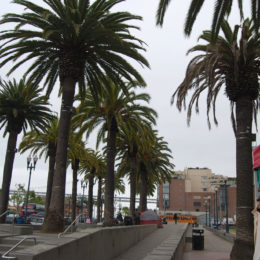 Ferry Building Marketplace