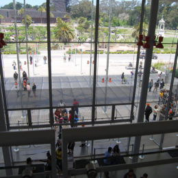 California Academy of Sciences