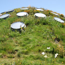 roof garden