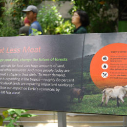 California Academy of Sciences