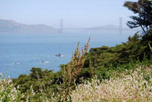 Golden Gate Bridge | Photography by Jenny SW Lee