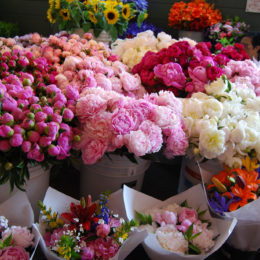 Pike Place Market, Seattle - Photography by Jenny S.W. Lee