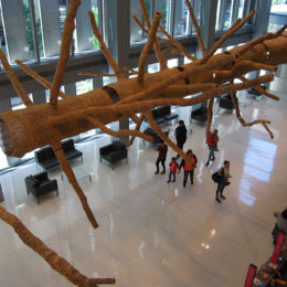 John Grade: Middle Fork.
"Suspended sculpture of a 140-year-old western hemlock. Built from thousands of pieces of reclaimed old-growth cedar."