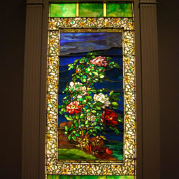 Window: Peonies in the Wind