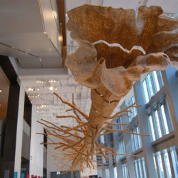 John Grade: Middle Fork.
"Suspended sculpture of a 140-year-old western hemlock. Built from thousands of pieces of reclaimed old-growth cedar."