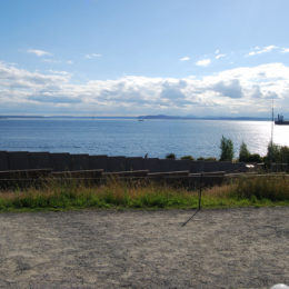 Sculpture Park, Seattle | Photography by Jenny S.W. Lee