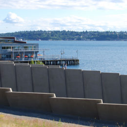 Sculpture Park, Seattle | Photography by Jenny S.W. Lee